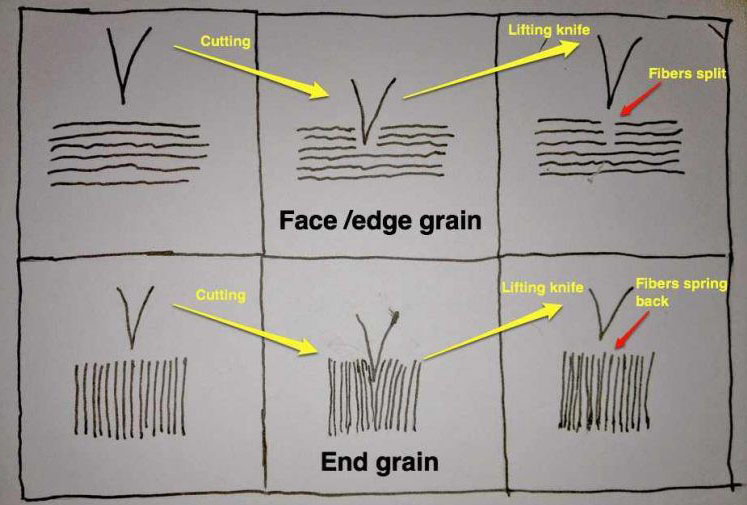 face grain vs edge grain